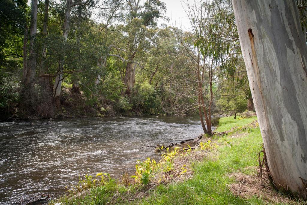 Готель Oscar'S On The Yarra Ворбертон Номер фото