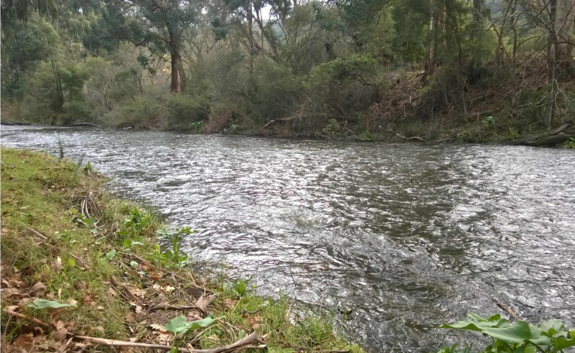 Готель Oscar'S On The Yarra Ворбертон Екстер'єр фото